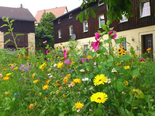 Weißig Apartment | Sächsischer Familienurlaub, Struppen