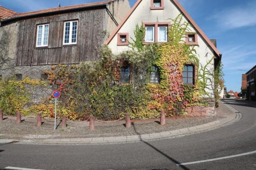 Barbelroth Apartment | Südpfalz