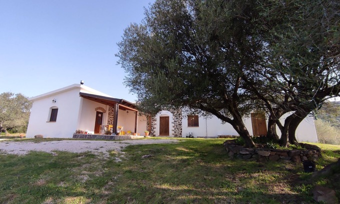 Dorgali House | Sa Carruba - Typical rural house surrounded by greenery with panoramic views