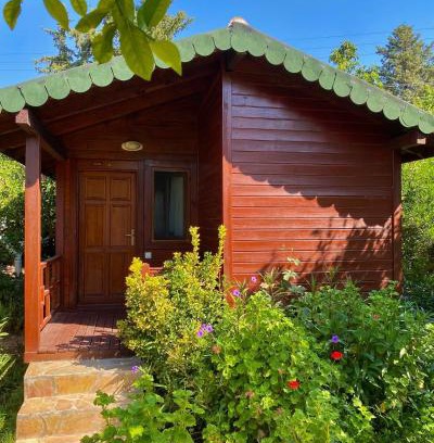 Cirali Bed & Breakfast | Safir Pansiyon