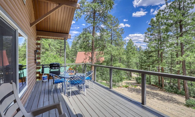 San Juan River Village House | San Juan Cabin: Cozy Mountain Getaway, Fire Pit, Mtn Views, 10 Min to Downtown, Close to Wolf Creek!