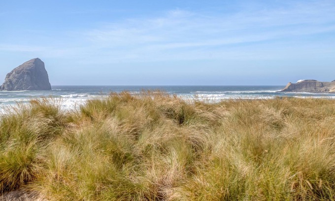 Kiwanda Shores House | Sand Dollar Find