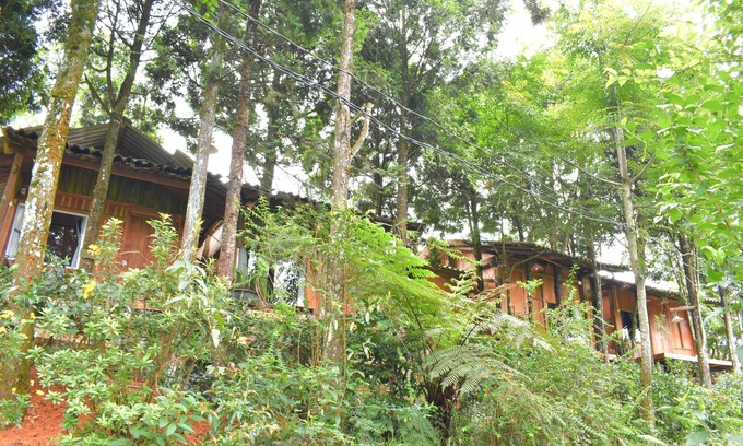 Sa Pa Cabin | Sapa Jungle