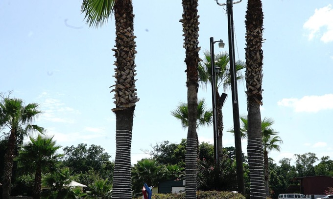 Garden City Hotel | Savannah Inn and Suites