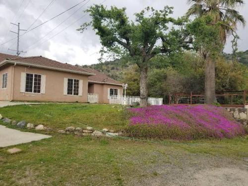Three Rivers House | Scenic Renovated House, near Sequoia NP