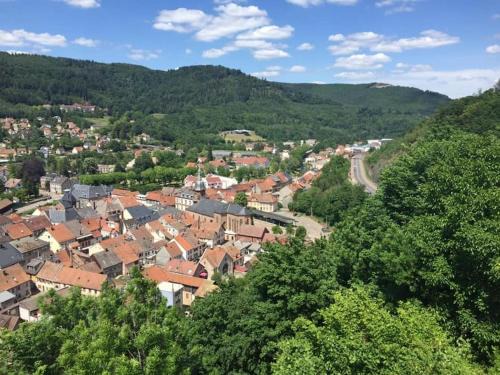 Schirmeck Apartment | Schirmeck centre appartement au pied du château