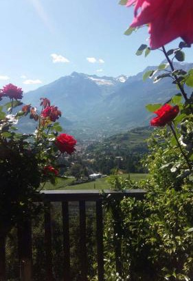 Merano Apartment | Schwarzplatterhof