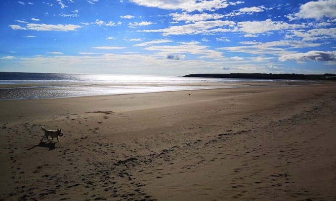 Arbroath Cottage | Scottish Countryside Bothy - Nearby Lunan Bay