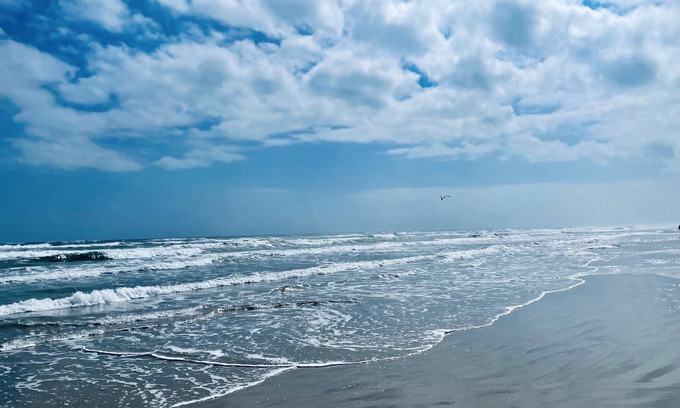 Port Aransas Condo | Sea Sounds | ★Beachfront★ | 2 Pools | First Floor Island Retreat 2 Bedroom Condo