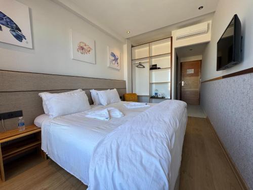Oualidia Hotel | Seashell