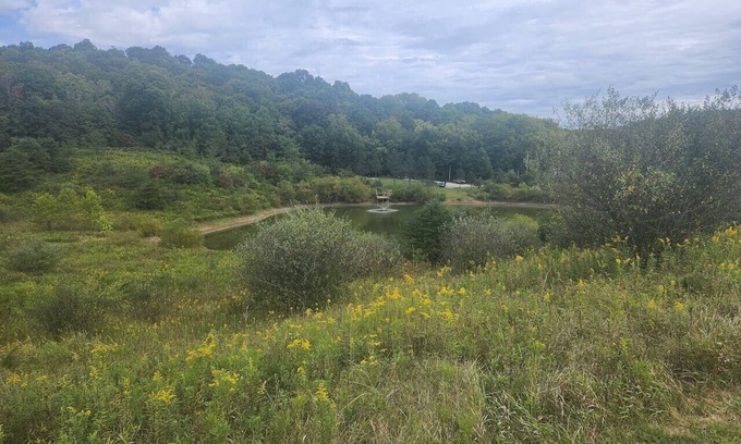 Carbon Hill Cabin | Secluded Cabin near Hocking Hills with Stocked Pond/Hot Tub on 40 acres