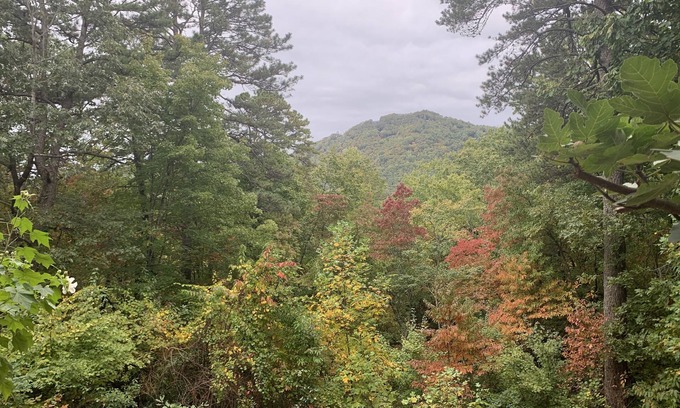 Clayton House | Secluded home in the mountains and 5 minutes from downtown. Pet friendly!