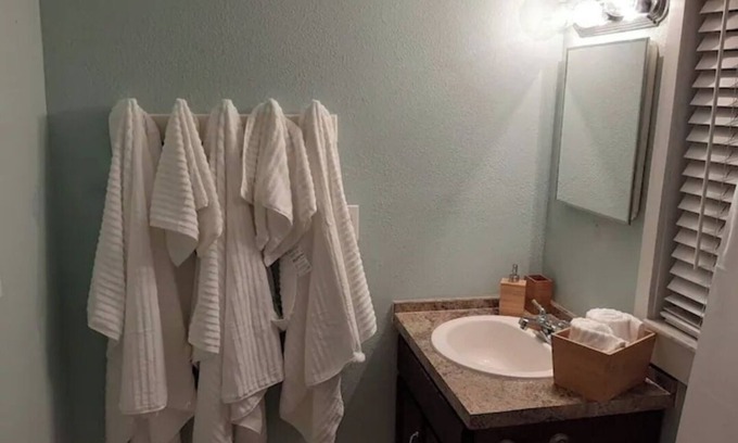 Ybor City Ski Chalet | Seminole Heights suite