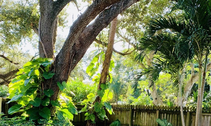 Sailboat Bend House | Serene Escape - Downtown Ft Lauderdale - 7 min drive to beach/airport/port
