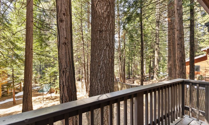 Shaver Lake Condo | Shaver Lake Haven Sum