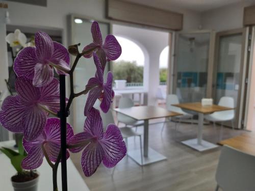 Maruggio Bed & Breakfast | Shekhinah Bed and Breakfast Home Restaurant