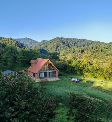 Khulo Ski Chalet | Shemoqmedi chalet