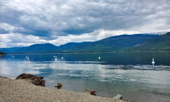 Blind Bay House | SHUSWAP STOP-Family Sized Lakeview Guest House w/Beach Access Golf & Fine Dining