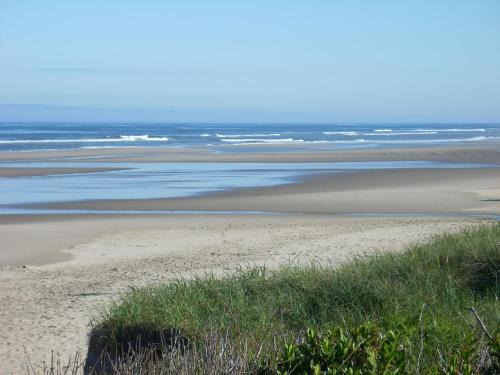 Yachats Hotel | Silver Surf Motel