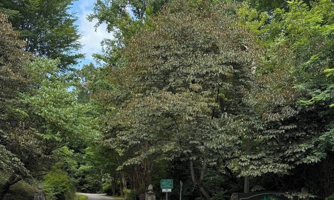 Whittier Cabin | Simple Charming 2-bedroom cabin in Whittier NC, 14 miles from Cherokee