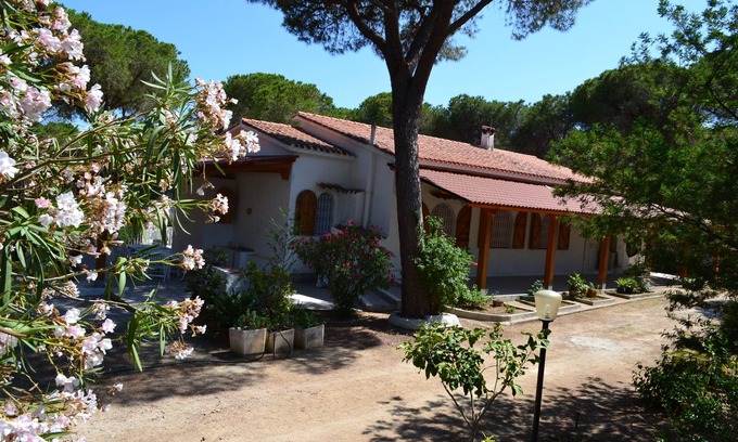 Eden Rock Villa | Single villa nestled in pine forest a few steps from the beach in Santa Margherita