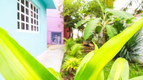 Centro Hotel | Siyan Ka'an Bak'halal