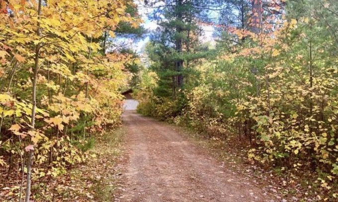 Conover House | Sled Inn - Secluded 5 Acres and ON the Trails!! 500 Feet From Drive to Trails