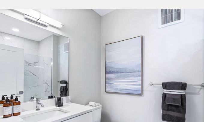 Ashburn Condo | Sleek, Modern Condo