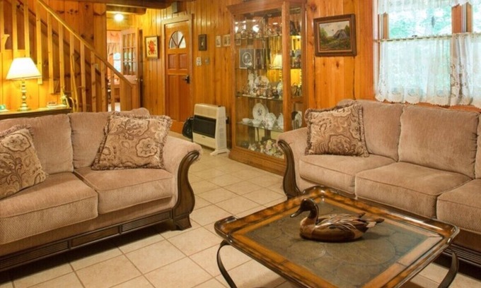 Mountain Home Cabin | Sleeps 11! 5BR/2.5BA LRG Log Cabin on 5 Acres, Close to Hendo/AVL, TWO Kitchens!