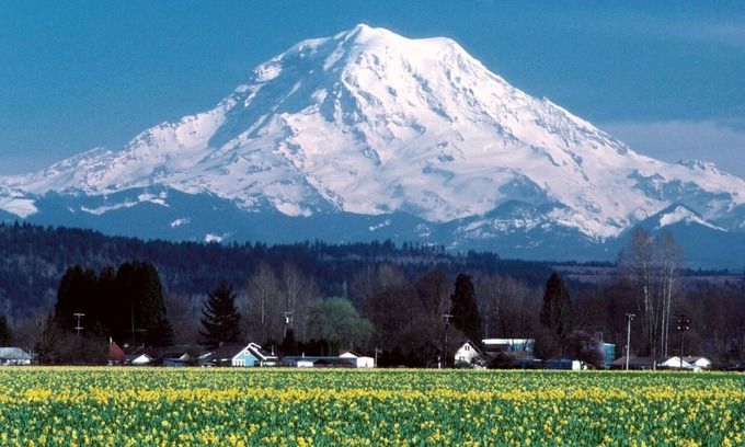 Puyallup House | Small Town Friendliness & Family Activities; 2 blks from Western WA Fairgrounds
