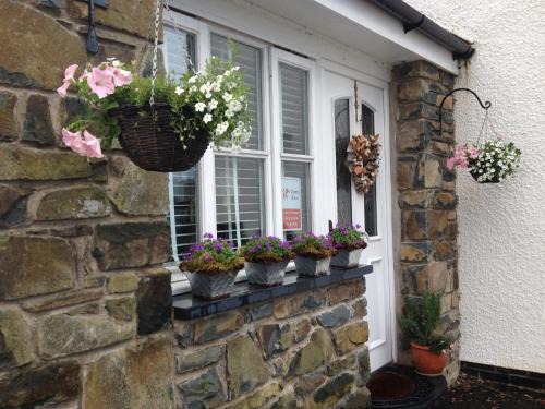 Dolgellau Apartment | Snowdonia Snug - Studio Style Accommodation