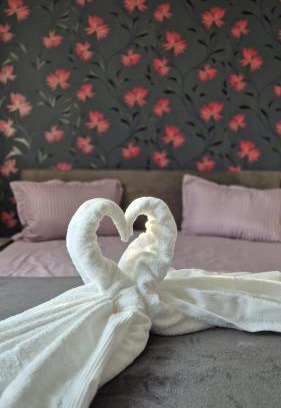 Piatra Neamt Apartment | Sofia Apartment