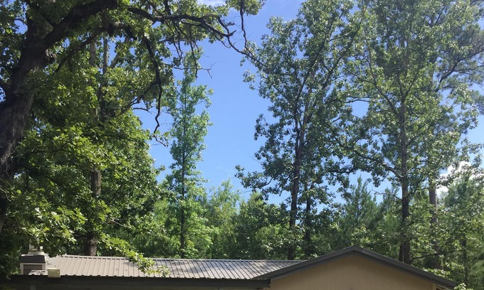 Florien House | South Toledo Bend 2 Bedroom House (Pirates Cove) Outdoor Shower & Shuffleboard!