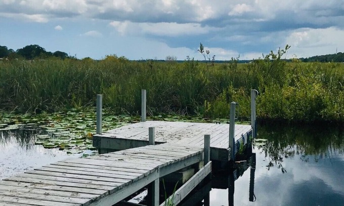 Salt Springs House | Southern Country Comfort