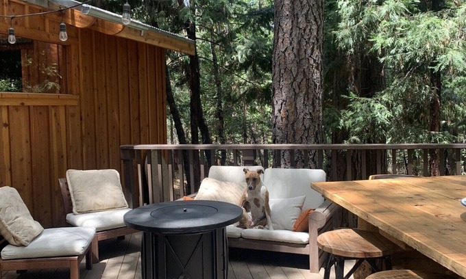 Rough and Ready Cottage | Spa getaway forest cottage