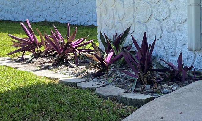 Winter Woods House | Spacious 4 bedroom with WiFi and AC in welcoming Port Orange Home away from home