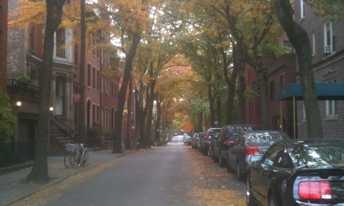 Brooklyn Heights Apartment | Spacious, Clean 1 Bedroom + Office