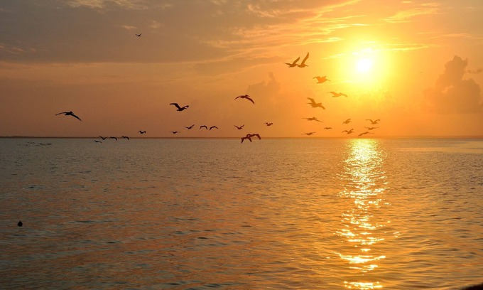 Theodore Apartment | Spend The Night On Historic And Beautiful Mobile Bay