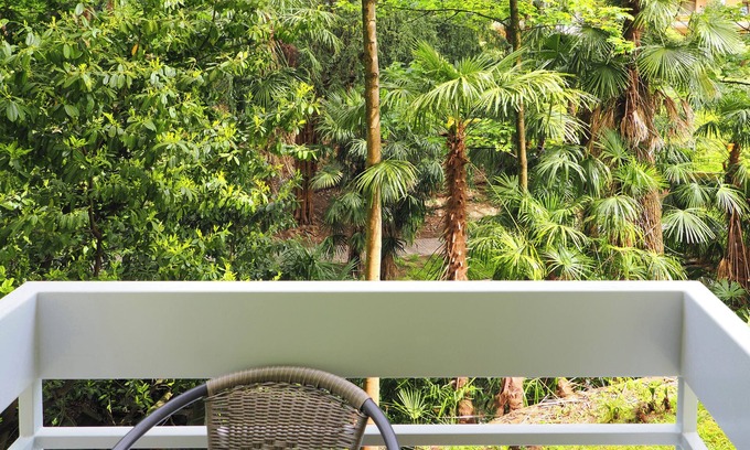 Minusio Apartment | Splendido Monolocale
