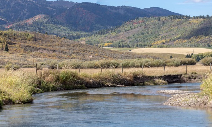 USA Cabin | Spotted Moon Ranch - River Front - Tiny Home