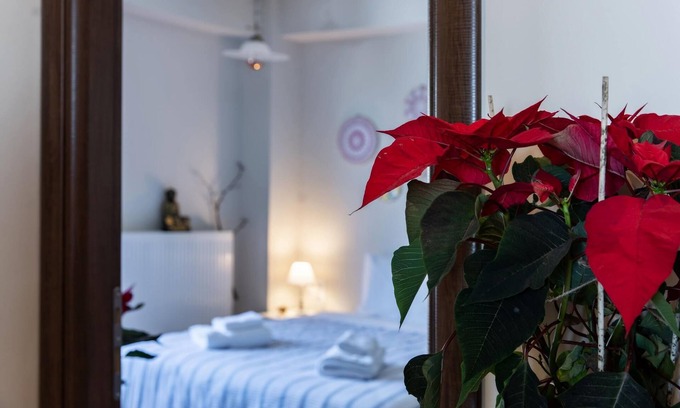 Volos House | Stagiates Guest House Room 1
