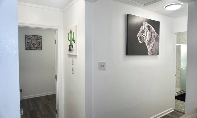 Athens House | Stainless Steel Retreat in Downtown Athens