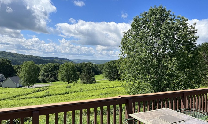 Cooperstown House | Stargazer - Great views, convenient to CDP