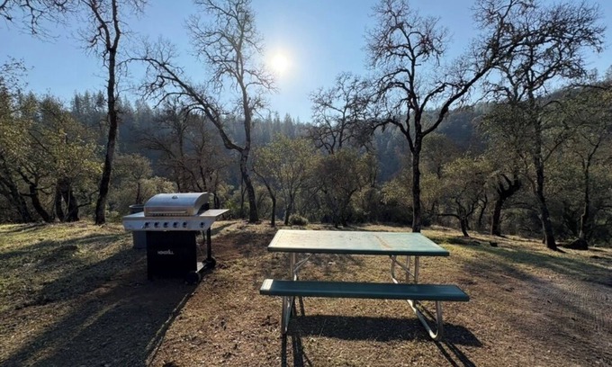 Auburn RV Rental | Starlight River Retreat
