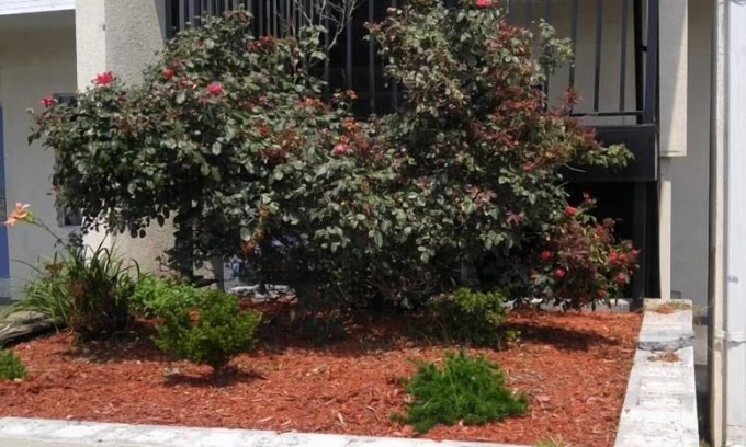 Fredericksburg Hotel | Stay 4 Less