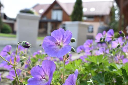 Gohrisch Apartment | Steffis - Hof