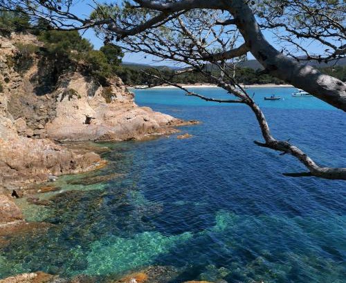Toulon - Hyeres Apartment | Studio à Hyères Port - Proche de toutes commodités