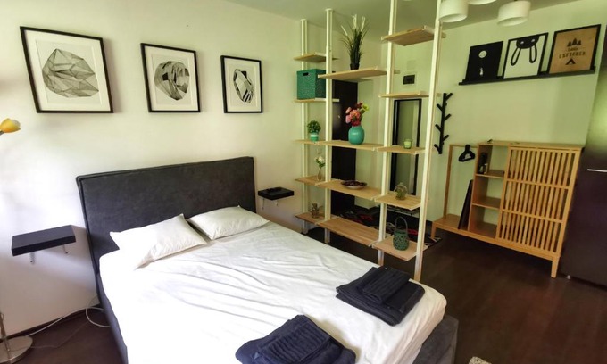 Azuga Apartment | Studio Azuga