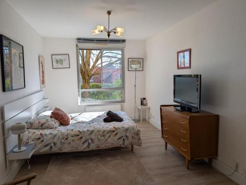 Cote Pavee Apartment | Studio calme- Cité de l'Espace - Côte Pavée
