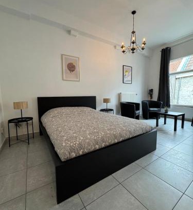 Mons Apartment | Studio center of Mons